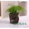 廣東多肉花盆多肉植物花盆 手繪陶瓷粗陶花盆 綠居供