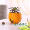 廣東多肉花盆花盆盆栽花器多肉花盆批發 綠居供