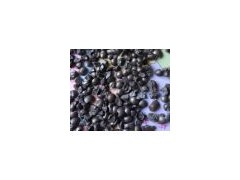 供應(yīng)拋光除銹鋼砂，菱角鋼砂，國標(biāo)鋼砂-晟博安