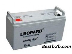 美洲豹蓄電池12V100AH