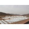 钢架拱棚-拱棚建设-钢管拱棚报价-寿光市万禾农业