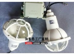 FAD-S三防金鹵燈全塑防爆防腐金鹵化物燈廠家