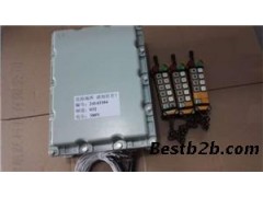 福建销售台湾禹鼎防爆型遥控器BF24-12S
