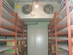 漳州凍庫(kù)回收_二手冷凍庫(kù)回收_制冷機(jī)組回收