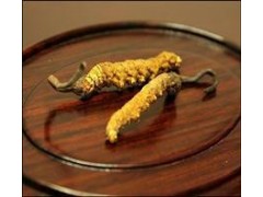 回收禮品冬蟲夏草海參鹿茸