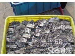 回收廢紙、塑料、建筑