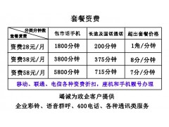 鐵通38包月電話無線座機，蘋果7