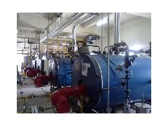 二手燃气锅炉出售|二手1-10吨燃气锅炉价格实惠