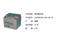 领导品牌赛特蓄电池BT-HSE-38质保三年