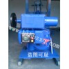 供应法国伯纳德系列B+RS600/F105H电动执行器