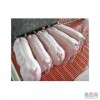山東養豬場銷售仔豬母豬
