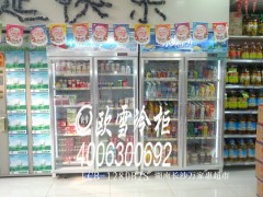 供应重庆市秀山商超便利店展示柜