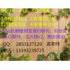 好發(fā)表的ei期刊發(fā)表ja檢索
