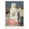 曲陽漢白玉獅子價格 青石獅子多少錢