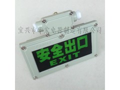 BAYD81防爆疏散安全燈 消防指示燈