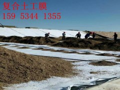700克復合土工膜價格