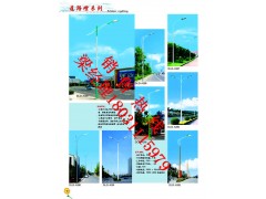 石家莊路燈LED路燈價格太陽能路燈成套價格路燈廠家河北路燈桿