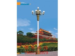 廠家供應中華燈戶外景觀燈張家口太陽能路燈滄州河間涿州張北燈桿