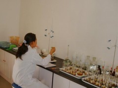 天津天凱果殼活性炭污水處理放心省心  /果殼活性炭原裝現貨