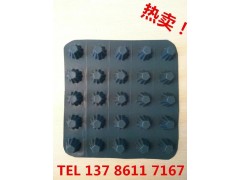 HDPE塑料排水板_疏水板_凹凸排水板厂家