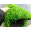 北京人工草坪批發廠家