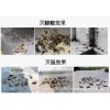 南寧滅鼠抓老鼠捕老鼠滅蟑螂蚊蠅滅白蟻滅四害公司