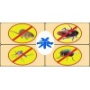 南寧滅鼠，江南，青秀，西鄉(xiāng)塘滅鼠抓老鼠滅蟑螂滅白蟻四害公司