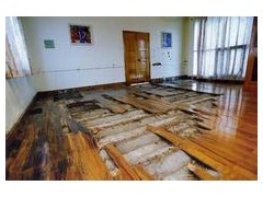 南寧滅鼠西鄉(xiāng)塘安吉滅鼠抓老鼠捕鼠滅蟑螂白蟻除四害公司