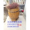 黑龙江省哈尔滨市 防腐木花桶 垃圾桶哪家比较好？