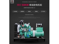 供應濰坊50kw發電機組 兒童樂園備用全自動雙電源柴油發電機