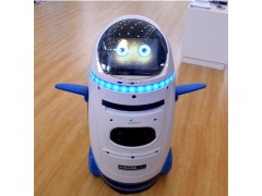 卡特熱銷智能小胖機器人