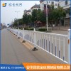 厂家专业定做围墙护栏市政园林防护网 锌钢道路护栏