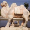 供應大型晚霞紅定制石雕動物絲綢之路雕刻駱駝雕塑批發直銷