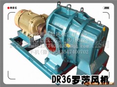 DR361罗茨风机