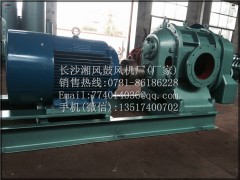 DR363罗茨风机