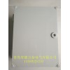 青岛塑料防水箱，青岛ABS塑料防水配电箱