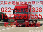 南开区到安平县专业轿车托运13802003119