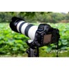 鹽城本地回收Canon/佳能7d5d2二手鏡頭回收