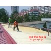 鲁佳聚氨酯批发  聚氨酯黑白料  批发价格