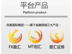 菲尼克斯（天津）有限公司