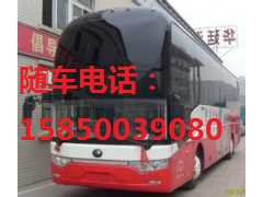 常熟到泉州直达客车15850039080宠物运输