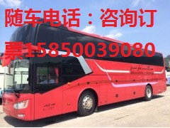 常熟到毕节直达客车15850039080宠物运输
