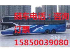 常熟到泉州直达客车15850039080宠物运输