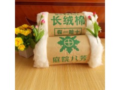 新疆純棉被冬被長絨棉花棉絮被芯棉胎褥子墊被 居家成人全棉被