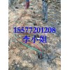 岩石开挖，矿山开采劈裂棒