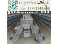 蛋雞籠 階梯式蛋雞籠 層疊式蛋雞籠 鍍鋅蛋雞籠