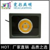 LED投光燈 戶外燈具防水聚光投光燈
