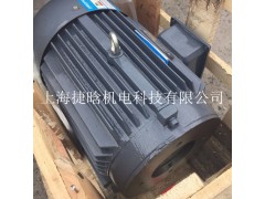 现货供应YYB-160L-4-15KW直插式油压电机