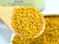天津港蜂花粉進口報關代理公司