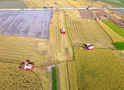 广西隆安拟打造水稻生产全程机械化示范基地